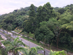 Blk 60 Telok Blangah Heights (Bukit Merah), HDB 3 Rooms #234812211